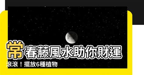 常春藤 風水|【常春藤風水】常春藤風水助你財運滾滾！擺放6種植。